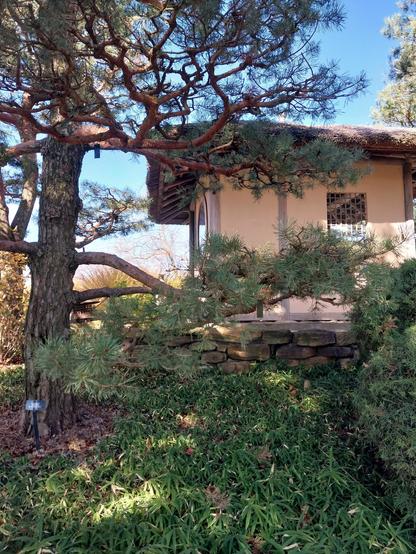 TSUKUBA CROUCHING BASIN ARRANGEMENT

GUESTS ENTER A TEAHOUSE STOP TO PERFORM A RITUAL PYING OF BODY AND SOUL A BASIN SET LOW ON THE IND, GUESTS MUST CROUCH SITION OF HUMILITY IN ORDER SH THEIR HANDS AND RINSE