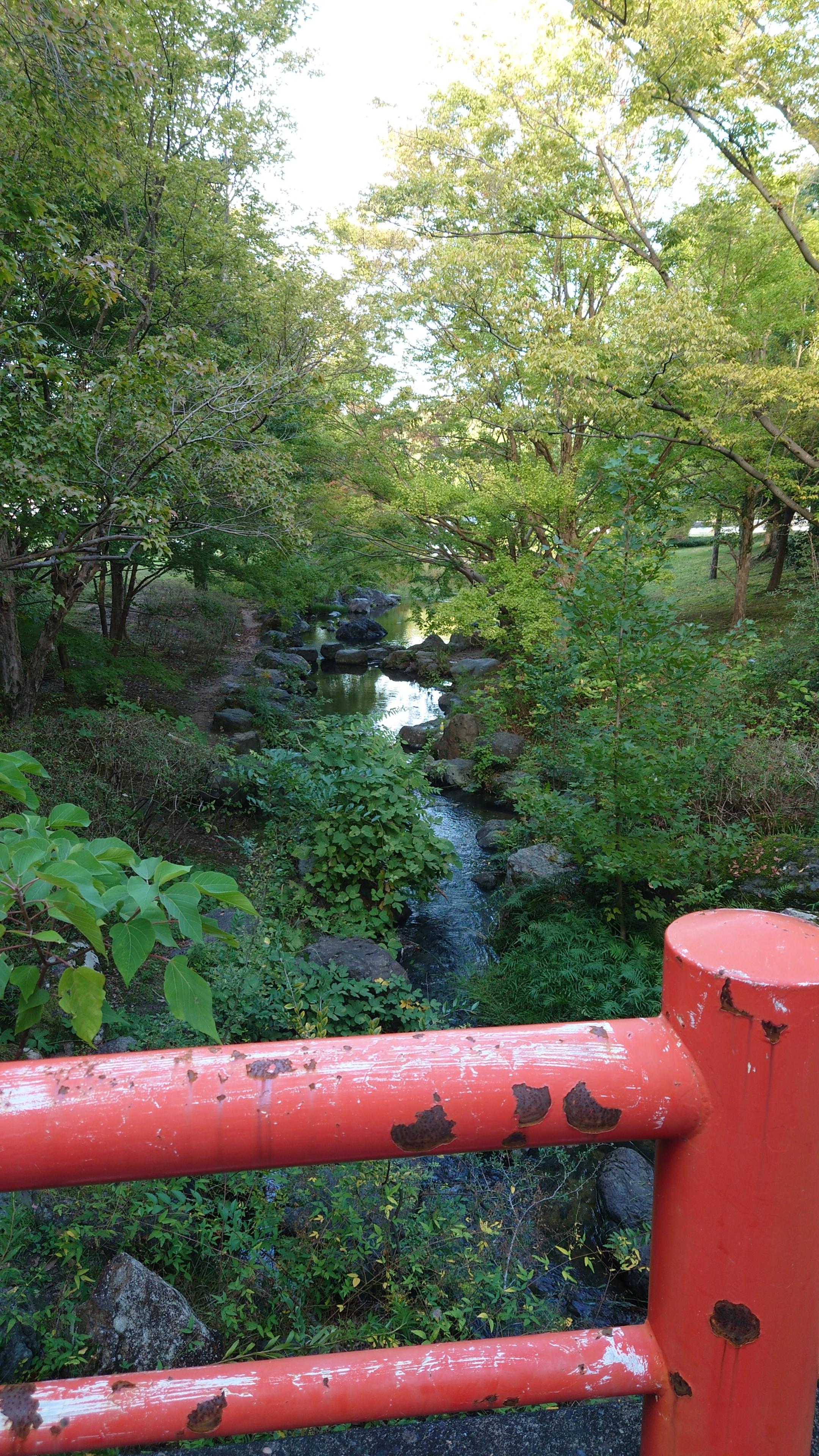 Attached image 3