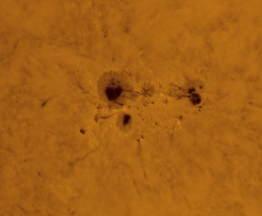 The Sun in H-Alpha light, chromosphere. The active region 3796

https://astrob.in/k4g5zs/0/

https://telescopius.com/pictures/view/205068/sun/ar-3796-in-h-alpha-light-656-33-nm-21-august-2024/by-simotranquilli

