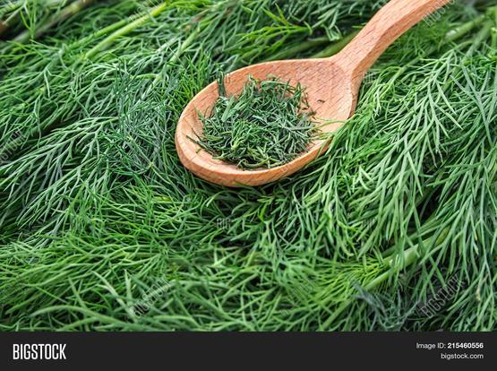 An image of fresh dill ... a small portion of it is coursely chopped. It's resting inside a wooden spoon & may be added to a baked or poached salmon recipe.