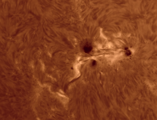 The active region 3796 (656.23 nm)

https://astrob.in/g5ifi7/0/

https://telescopius.com/pictures/view/205070/sun/ar-3796-in-h-alpha-light-656-23-nm-21-august-2024/by-simotranquilli

