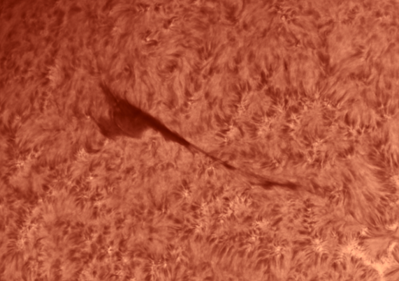  Sun in H-Alpha light (656.23 nm). A filament 

https://astrob.in/evgn15/0/

https://telescopius.com/pictures/view/205074/sun/sun-in-h-alpha-light-656-23-nm-21-august-2024-a-fi/by-simotranquilli



