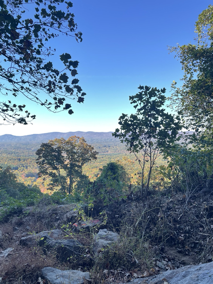 Amicalola State Park 