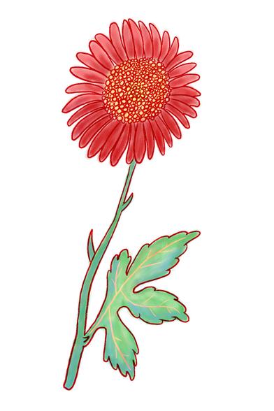 Ilustración a línea amarilla y mancha a color de un crisantemo (flor de centro granulado y pétalos alargados rojos). Detrás, aparece un triángulo equilátero rojo apuntando con su vértice hacia arriba.