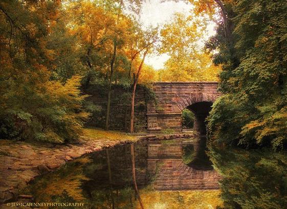 A stone bridge arches gracefully over a serene, reflective stream, surrounded by lush autumn foliage. The warm tones of the leaves create a harmonious and inviting natural scene.