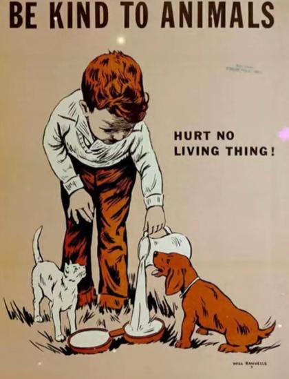 A little boy gives food and water for a dog and a cat. There's a text in the picture "Be kind to animals. Hurt no living thing!"