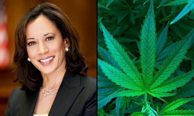 Bildschirmfoto Kamala Harris und ein Hanfblatt, bildhälftig geteilt

#Cannabis as #antioxidants and #neuroprotectants #weedmob
Feb 2, 2001 - The #USA as represented by the #DepartmentofHealth and #HumanServices

#Cannabinoids have been found to have antioxidant properties, unrelated to #NMDAreceptorantagonism. This new found property makes cannabinoids useful in the #treatment ... of #autoimmunediseases.

https://www.endocrine.org/advancing-research/scientific-statements