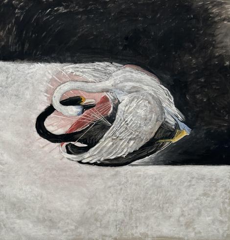 En esta tercera versión o secuencia de la pareja de cisnes blanco y negro, el blanco abraza al cisne negro que parece herido, en el encuentro el fondo negro del cisne blanco le sigue como estala a la derecha, y el fondo blanco del cisne negro tb se extiende y sube por la parte izquierda.
