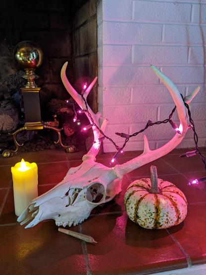 Photo of my peanut butter souffle filled joint next to a deer skull (with lights on the antlers), a candle & a mini pumpkin gourd near our fireplace. 