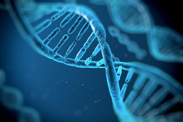 Anti-senescence Therapeutics Market