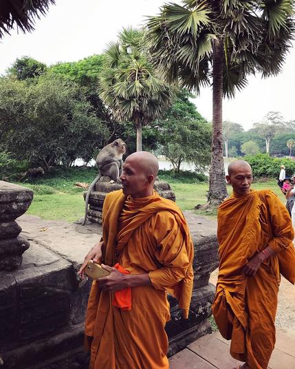 Ta Prohm temple, #AngkorWat, Siem Reap, #Cambodia.
#BuddhistArt #Buddhism