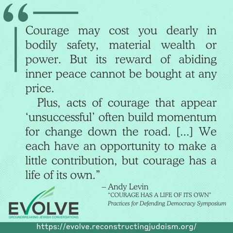 A quote from former congressperson Andy Levin, in black text on a light green background that reads: "Courage may cost you dearly in bodily safety, material wealth or power. But its reward of abiding inner peace cannot be bought at any price. Plus, acts of courage that appear 'unsuccessful' often build momentum for change down the road. [...] We each have an opportunity to make a little contribution, but courage has a life of its own." 