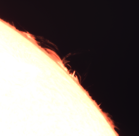 The Sun in H-Alpha light, 656.23 nm. Prominences on the north eastern limb.

https://astrob.in/d7ok5m/0/

https://telescopius.com/pictures/view/205551/sun/the-sun-in-h-alpha-light-656-23-nm-22-august-2024-/by-simotranquilli


