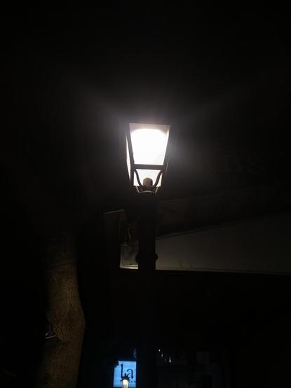 photo of a street lamp