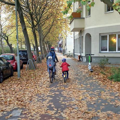 Frau auf dem Fahrrad mit Kind auf seinem Fahrrad radeln einen Radweg lang, der mit viel Laub bedeckt ist.