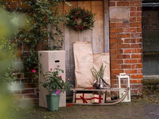 Selection of gifts from David Austin outside a festive country cottage doorway