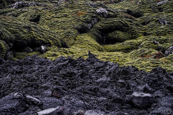 Cropped clip of just lava. In the front the black, sharp pieces of nee lava. In the back, the mossy green rounded lava. 