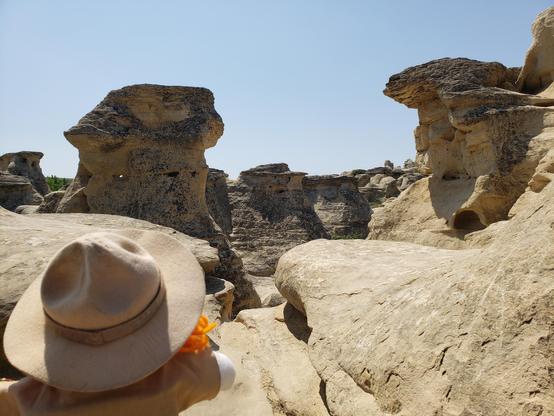 Ranger Sarah reached the edge of the hoodoos and turns around, everything looks different as she retraces her steps.
— at Writing-On-Stone Provincial Park/ Áísínai'pi.
