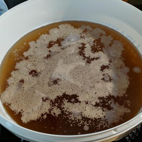 A square cropped photo of a fermenting bucket with 23 liters of must with yeast sprinkled on top. It looks golden brown with tan gunk (the yeast) floating on top. The bucket is white. It could be a pail.