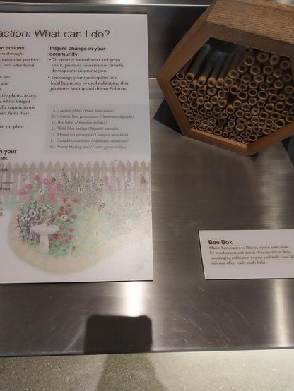 .

#BeeBox

#Masonbees, native to Illinois, nest in holes made

by woodpeckers and insects. You can attract these

nonstinging pollinators to your yard with a has lik

this that offers ready made holes.
