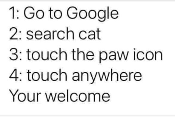 1: Go to Google
2: search cat
3: touch the paw icon
4: touch anywhere
Your welcome