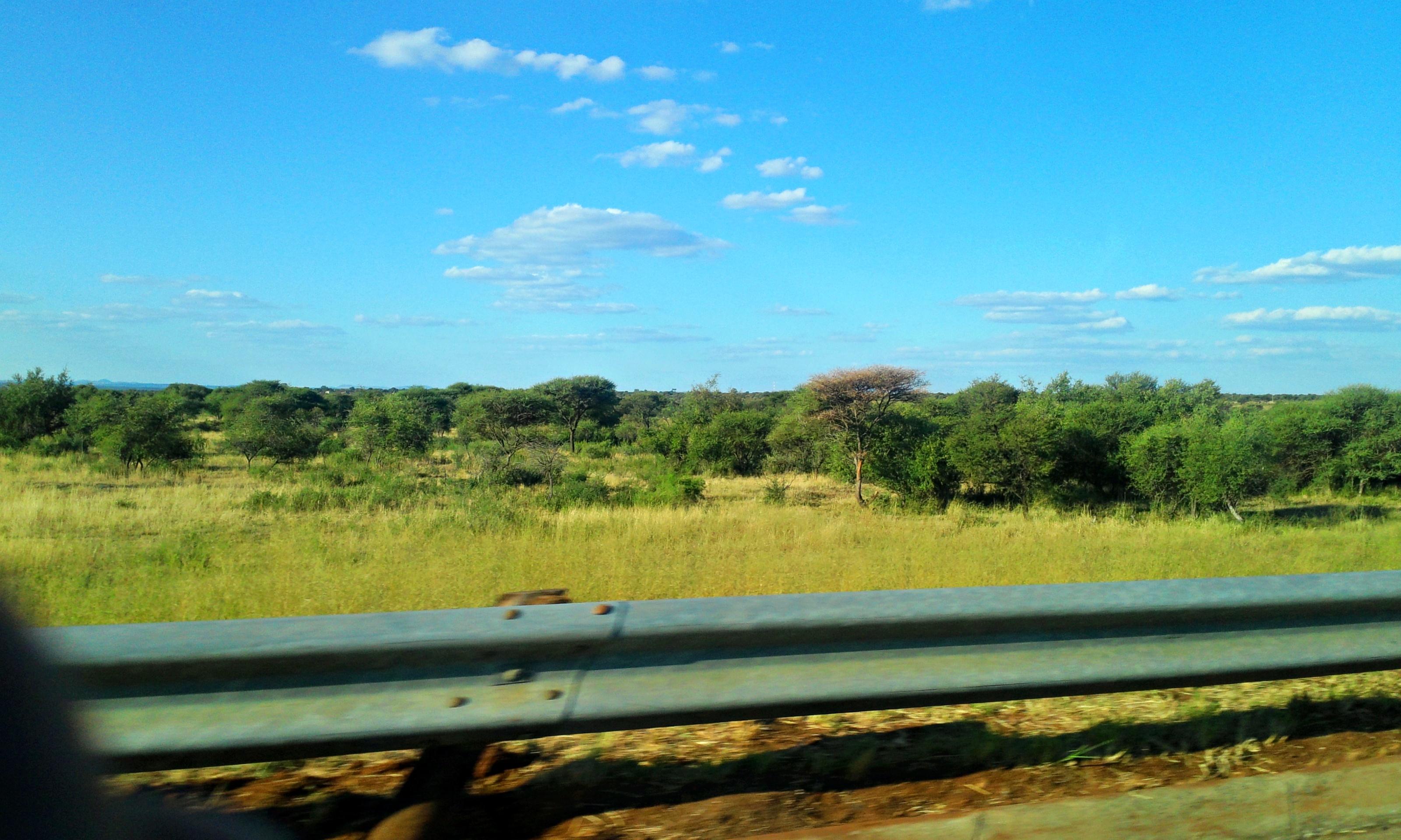 A field I saw while riding in a car in South Africa