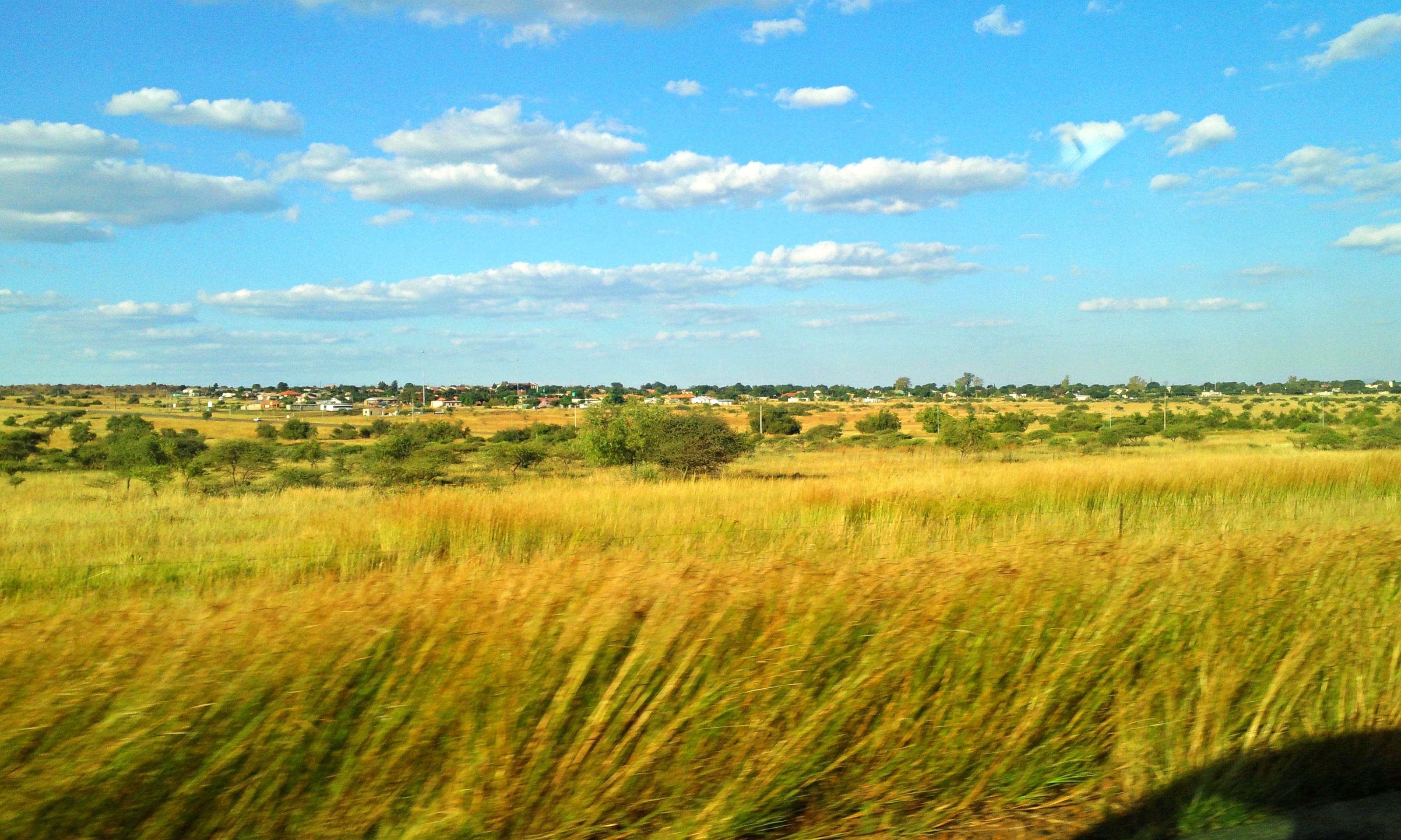 A field I saw while riding in a car in South Africa