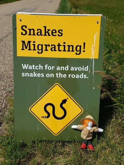 Ranger Sarah will be on the look out for snakes. But it is so hot out she thinks they will be in the shade today.
— in Alberta, Canada
