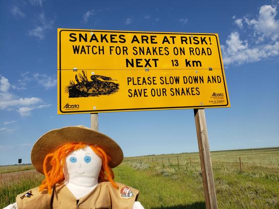 Ranger Sarah is keeping her eye out for those snakes, but it is 38C, 101F out so she doesn't think they will be crossing any roads today.
— in Alberta, Canada
