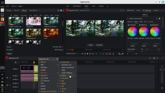 LightWorks video editor on Linux