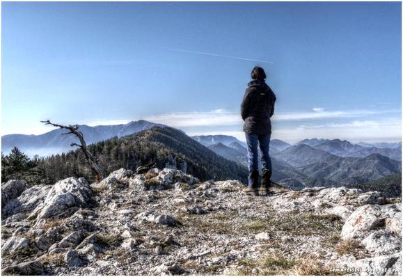 zwei Dürre (Baum und Mensch) mit Weitblick