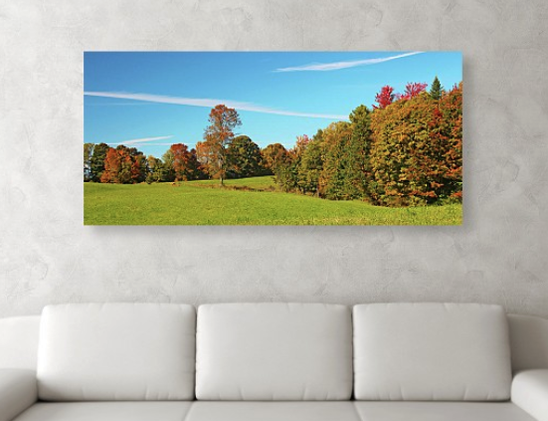 A photo of a colorful autumn meadow hangs on the wall above a sofa.