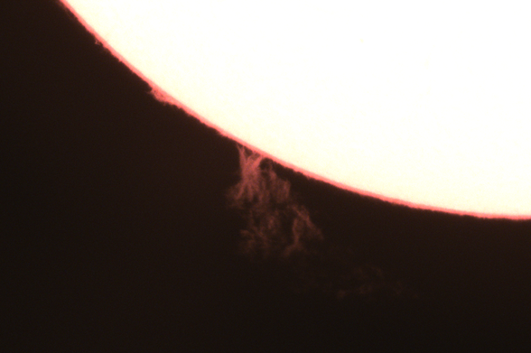 The solar chromosphere. Preview of the prominence  in the timelapse.