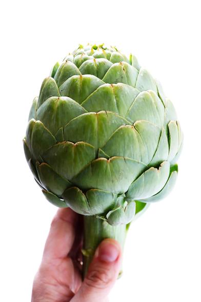 a simple Image, showing part of a person's hand/fingers that are holding what look likes a perfectly ripe artichoke.