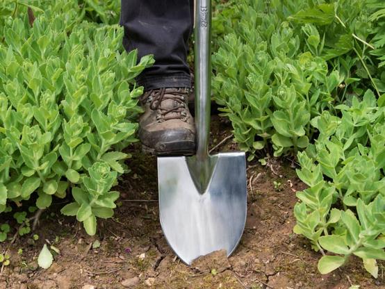 Small Groundbreaker Spade by Burgon & Ball digging into clay soil