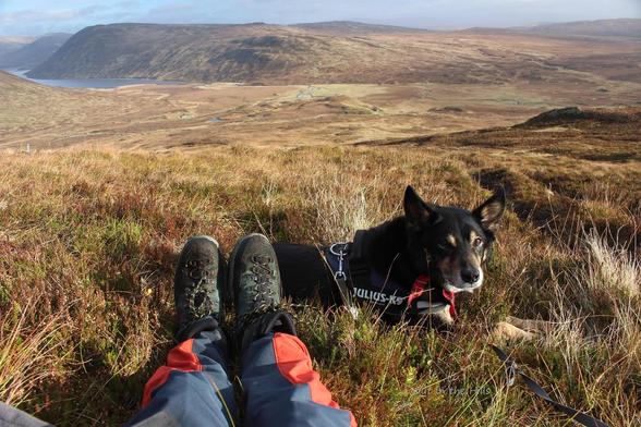 Moray the dog and the lower part of my trousers with boots, we are sat on a grassy and heathery hillside, there is a loch below the hills in the distance.