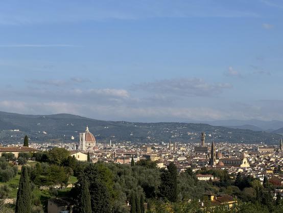 View on Florence from a nearby mountain 