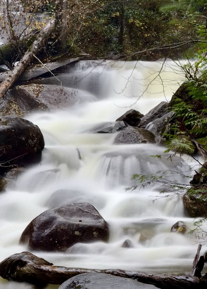 Long-exposure shot of a rapidly flowing Shannon Creek outside of Squamish BC