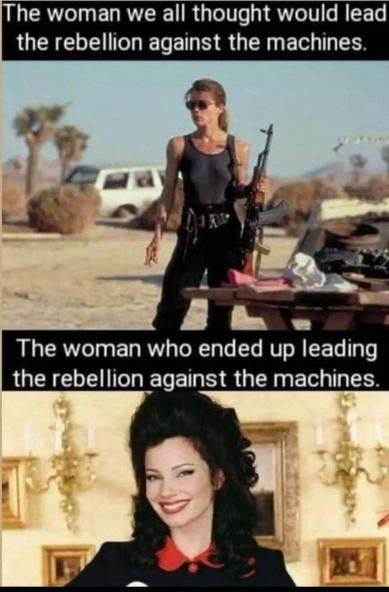 Two-panel meme. 

Top panel has a scene with actress Linda Hamilton as an armed and very dangerous Sarah Conner in the film "Terminator".
The meme text here reads, "The woman we all thought would lead the rebellion against the machines."

Bottom panel has a photo of actress (and current President of the actors' union, SAG-AFTRA) Fran Drescher as the nasal-voiced nanny Fran Fine in the TV series "The Nanny."
The meme text here reads, "The woman who ended up leading the rebellion against the machines."