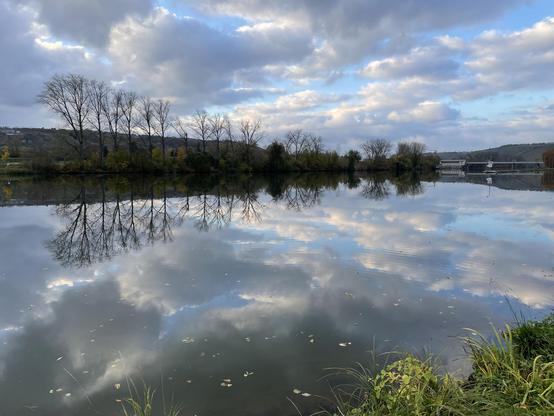 The river Main , near Würzburg; the water is very smooth and shows as a mirror the clouds and the blue sky, trees on the left side of the river.