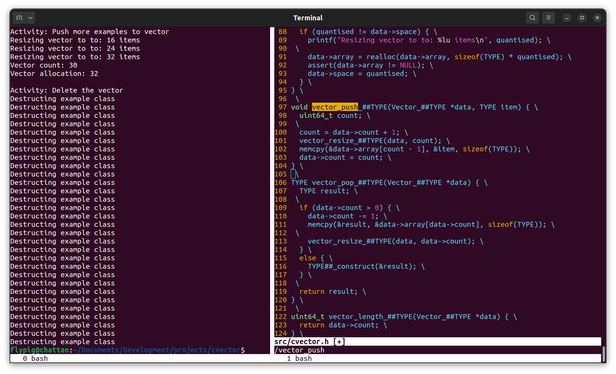 Console output with two panes showing the result of executing the code in the left pane and the code from cvector.h in the right pane. The execution ends with 30 calls to the destructor of the Example class when the vector is deleted.