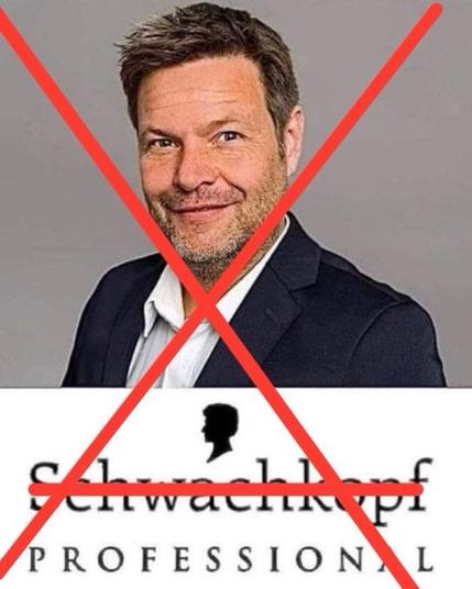 Ein Bild zeigt einen lächelnden Robert Habeck, der einen Blazer trägt, mit einem verschwommenen Hintergrund und einem Logo für "Schwarzkopf Professional", das unten teilweise sichtbar ist, mit einem roten Kreuz darüber.