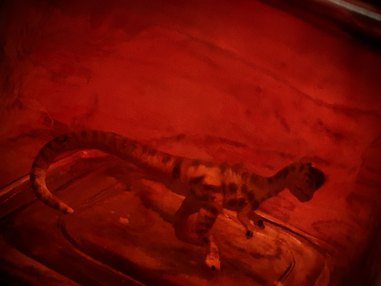 The obscured outline of a Dilophosaurus in a large red prison made of glass. They are surrounded.