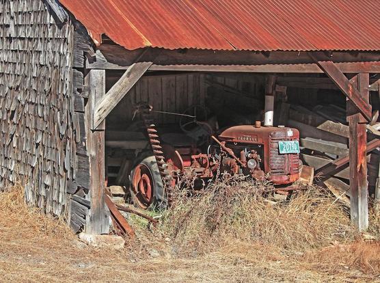 An old Farmall tractor sits in a weathered shed with a rusted metal roof on an abandoned farm.
