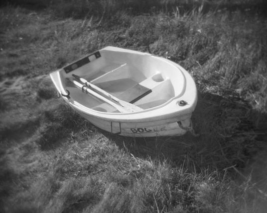 A boat with oars laid up on a grassy shore, partially filled with water.