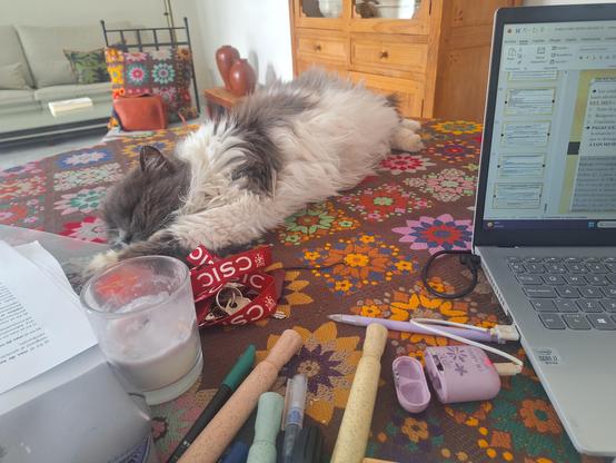 Una mesa desordenada con unos  cuantos rotuladores, el portátil, una vela y mi gato blanco y gris relajaito y de lado, durmiendo.
