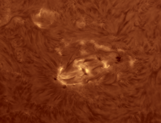 Solar chromosphere, 23 august 2024. Active Region 3800.