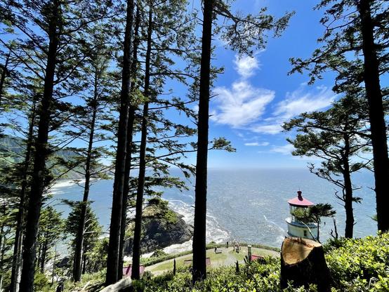 A scenic view of the ocean from a wooded area, featuring tall trees and a lighthouse in the foreground. Blue skies with scattered clouds are visible above, and people can be seen near the shoreline.
