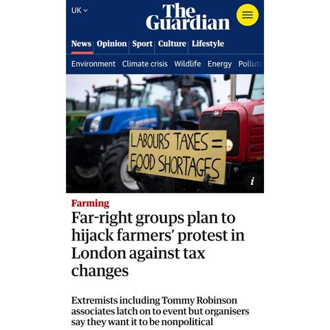 Screenshot of Guardian article.
