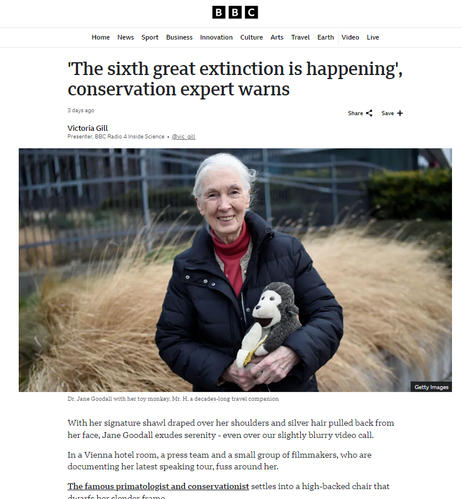 Screenshot November 2024 BBC 
Dr. Jane Goodall with her toy monkey, Mr. H, a decades-long travel companion
With her signature shawl draped over her shoulders and silver hair pulled back from her face, Jane Goodall exudes serenity - even over our slightly blurry video call.

In a Vienna hotel room, a press team and a small group of filmmakers, who are documenting her latest speaking tour, fuss around her.

The famous primatologist and conservationist settles into a high-backed chair that dwarfs her slender frame.

On my screen I can see that behind her, on a shelf, is her toy monkey, Mr H.

The toy was given to her nearly 30 years ago by a friend and has travelled the world with her. Dr Goodall is now 90 years of age, and she and Mr H are still travelling. ...

https://www.bbc.com/news/articles/c93qvqx5y01o